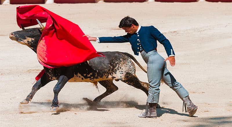 Soirées festives au Grau-du-Roi