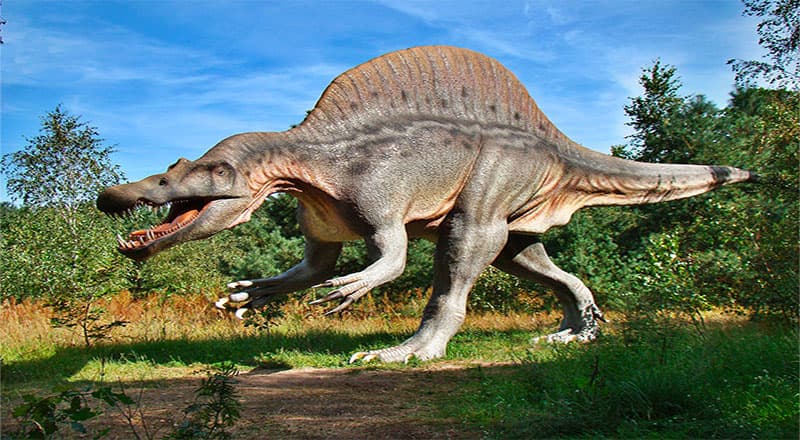 Parc des Dinosaures à Mèze