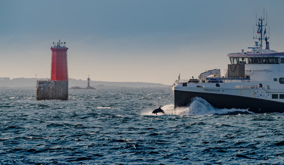 Partez à la découverte des îles bretonnes en ferry !