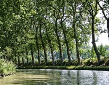 Une croisière sur la Canal du Midi 