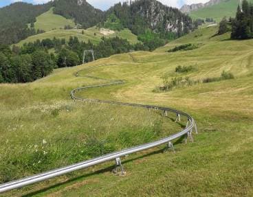 Profitez de la luge d'été