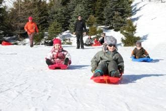 Snake Gliss, une descente en luge inoubliable