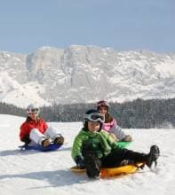 Ski park and Sledding