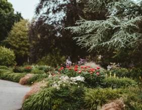 Parc Floral