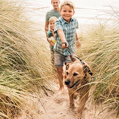 https://www.vacanceole.com/vacanceole-des-locations-de-vacances-ou-les-animaux-sont-acceptes