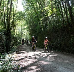 VTT et VTT de descente