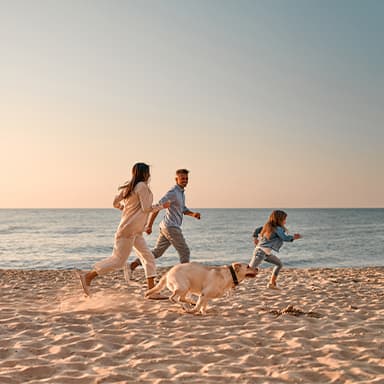 Ou partir en vacances avec son animal de compagnie
